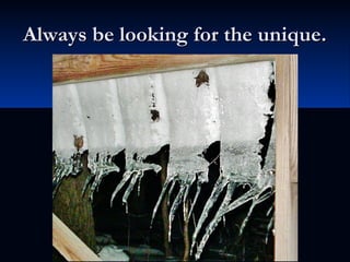 Always be looking for the unique.Always be looking for the unique.
 