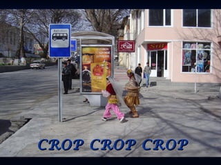 CROP CROP CROPCROP CROP CROP
 