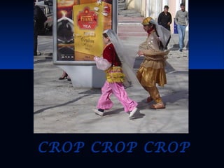 CROP CROP CROPCROP CROP CROP
 