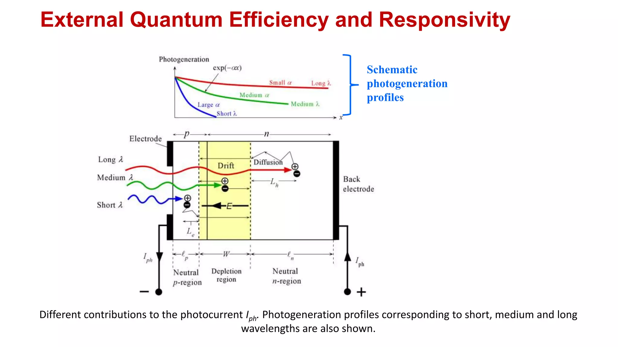 External Quantum Efficiency and Responsivity
Different contributions to the photocurrent Iph. Photogeneration profiles corresponding to short, medium and long
wavelengths are also shown.
Schematic
photogeneration
profiles
 