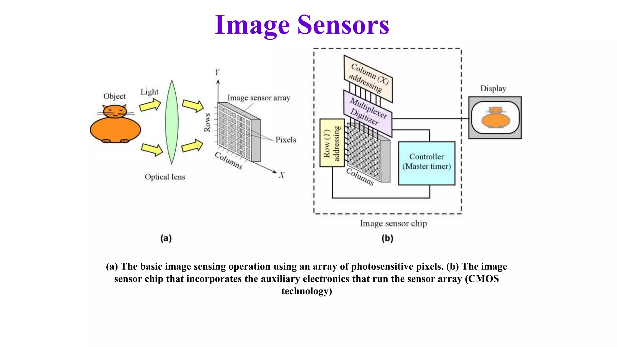 Image Sensors
(a) The basic image sensing operation using an array of photosensitive pixels. (b) The image
sensor chip that incorporates the auxiliary electronics that run the sensor array (CMOS
technology)
 