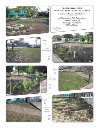 WASHINGTON PARK
                    PERMACULTURE LEARNING GARDEN
                            a project of Green Collar Futures
                                     in collaboratiun with:
                            the Washington Park Association
                                  Hudson County, NJ
                                 the Dodge Foundation
                                     NJ YouthCorps
                   March - June
                     2011




 before



   ( E side/
Forest Garden)


          after




                   before



           ( SE corner/
           Rain Garden)


           after




 before



   ( Eroded
    Slope/
   Terraces )


          after
 