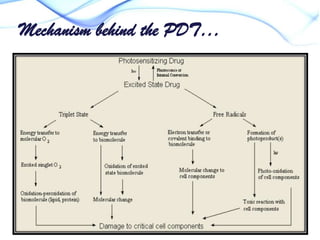 Mechanism behind the PDT…

 