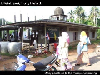 Many people go to the mosque for praying.  L ife in  L amsai,  T rung,  T hailand 