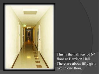 This is the hallway of 6th floor at Harrison Hall. There are about fifty girls live in one floor. 