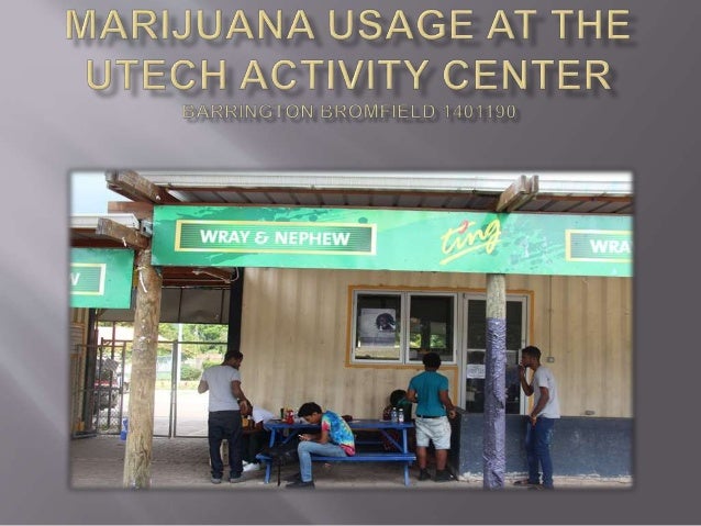 Example Of A College Essay Paper This Is A Photo Essay That Is Geared Towards Highlighting The Prominence Of Marijuana Usage English Essay Pmr also How To Write A Synthesis Essay Photo Essay Marijuana Usage At The Utech Activity Center English Essays On Different Topics