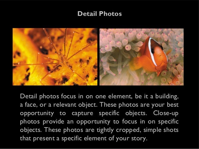 Photo Essay Outline Stablishing Shots Literature Review Writing Service also Thesis Statement In A Narrative Essay General Paper Essay