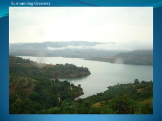 Surrounding Greenery
 