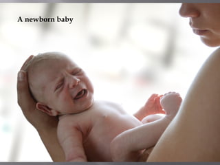 A newborn baby
 