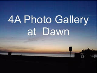 4A Photo Gallery
at Dawn

4A Art Gallery

 
