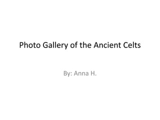 Photo Gallery of the Ancient Celts


            By: Anna H.
 