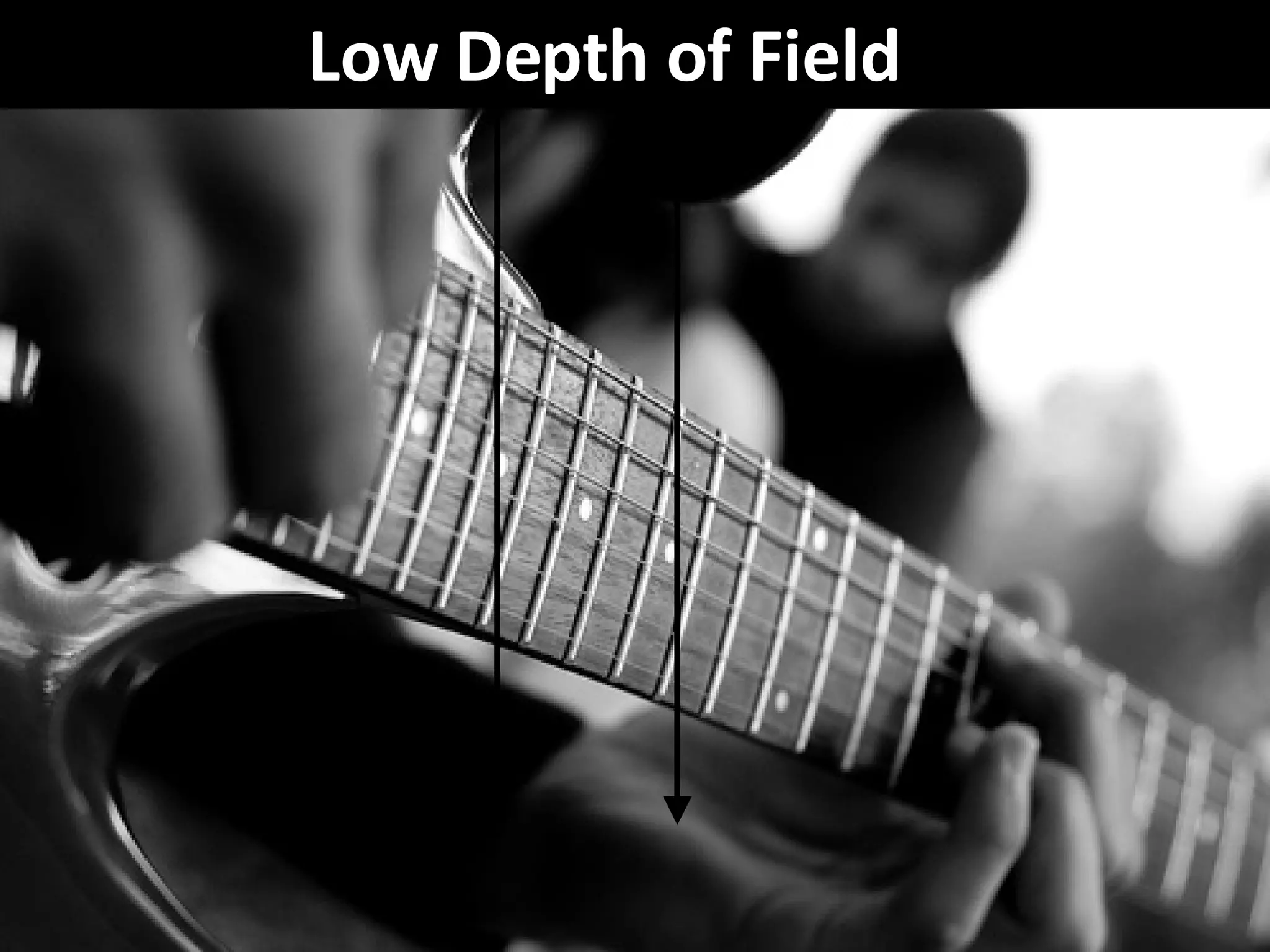 Low Depth of Field 