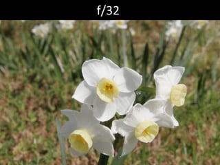 f/32 