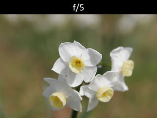 f/5 