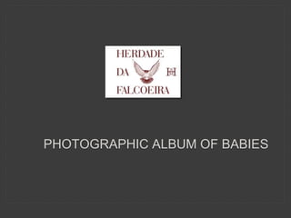 PHOTOGRAPHIC ALBUM OF BABIES
 