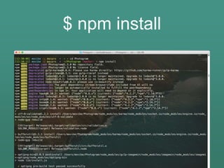 $ npm install
 