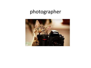 photographer
 