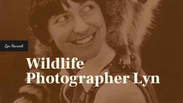 Wildlife
Photographer Lyn
 