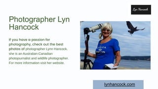Photographer Lyn
Hancock
If you have a passion for
photography, check out the best
photos of photographer Lynn Hancock.
she is an Australian-Canadian
photojournalist and wildlife photographer.
For more information visit her website.
lynhancock.com
 