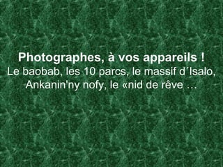 Photographes, à vos appareils !
Le baobab, les 10 parcs, le massif d´Isalo,
Ankanin'ny nofy, le «nid de rêve …
 