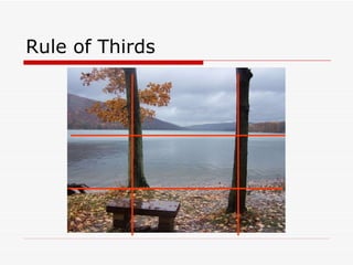 Rule of Thirds 