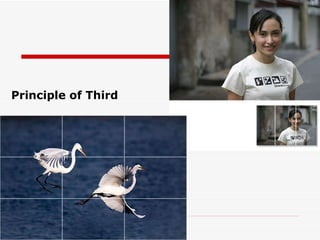 Principle of Third 