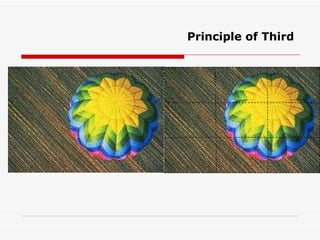 Principle of Third 