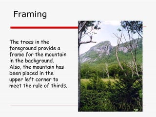 Framing The trees in the foreground provide a frame for the mountain in the background.  Also, the mountain has been placed in the upper left corner to meet the rule of thirds. 