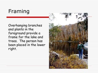 Framing Overhanging branches and plants in the foreground provide a frame for the lake and trees.  The person has been placed in the lower right. 