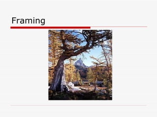Framing 