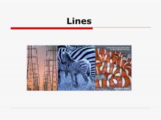 Lines  
