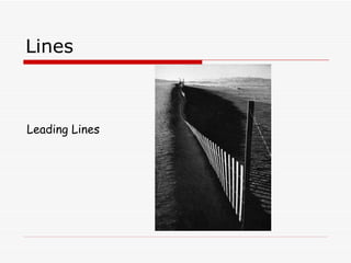 Lines Leading Lines 