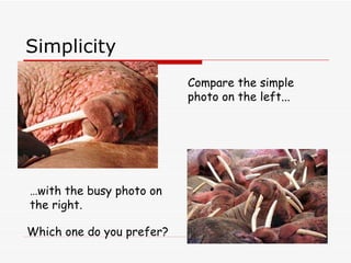 Simplicity Compare the simple photo on the left... … with the busy photo on the right. Which one do you prefer? 