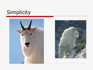 Simplicity 