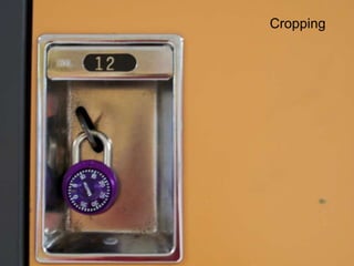 Cropping