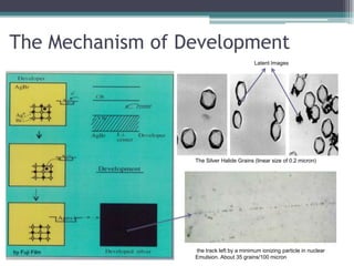 The Mechanism of Development
by Fuji Film
The Silver Halide Grains (linear size of 0.2 micron)
the track left by a minimum ionizing particle in nuclear
Emulsion. About 35 grains/100 micron
Latent Images
 