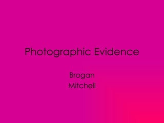 Photographic Evidence Brogan Mitchell 