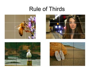 Rule of Thirds
 
