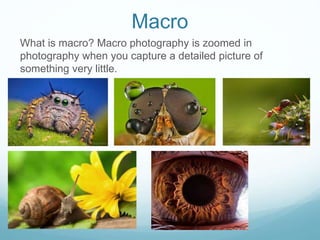 Macro
What is macro? Macro photography is zoomed in
photography when you capture a detailed picture of
something very little.
 