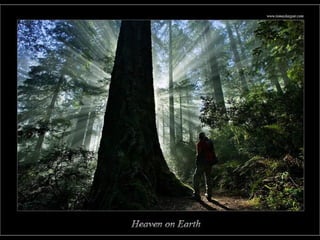 Photographies superbes