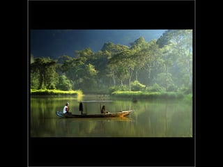 Photographies superbes