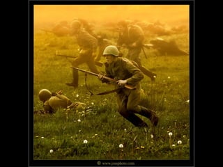 Photographies superbes