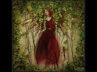 Photographies superbes