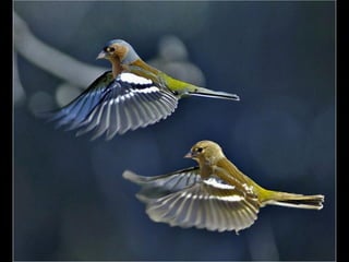 Photographies superbes