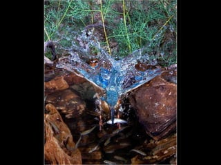 Photographies superbes