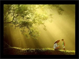 Photographies superbes