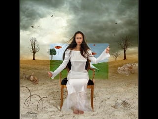 Photographies superbes