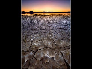 Photographies superbes