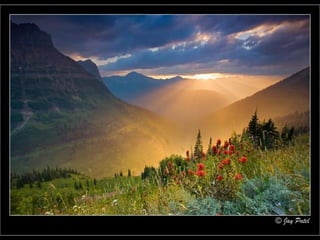 Photographies superbes