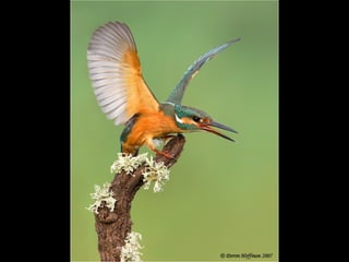 Photographies superbes